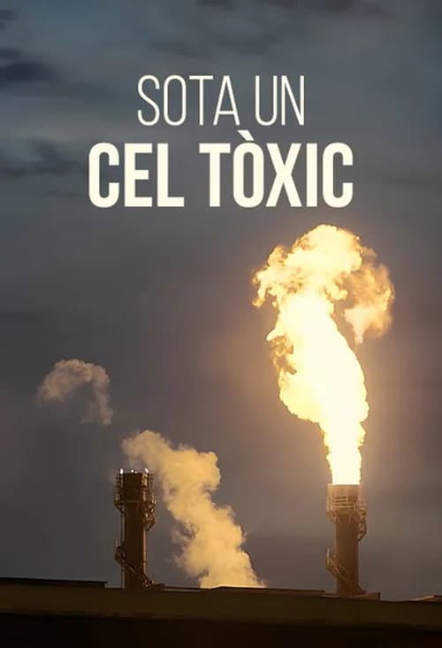 Poster for Der giftige Himmel von Tarent: Chronik einer geduldeten Umwelt-Katastrophe