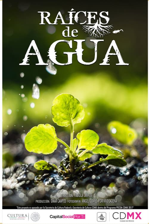 Poster for Raíces de Agua
