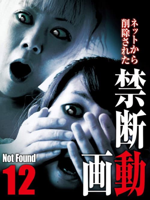 Постер до фільму «Not Found 12»