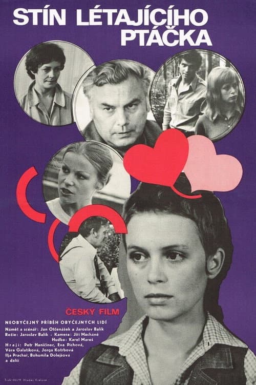 Poster for Shadow of a Flying Bird
