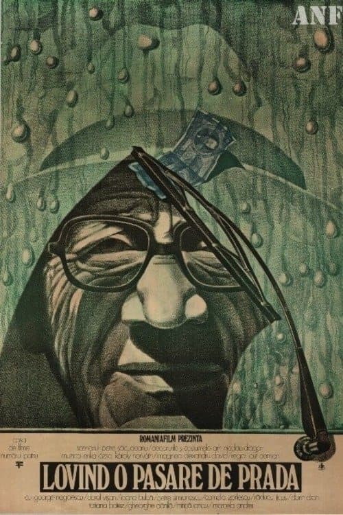 Poster for To Kill a Bird of Prey
