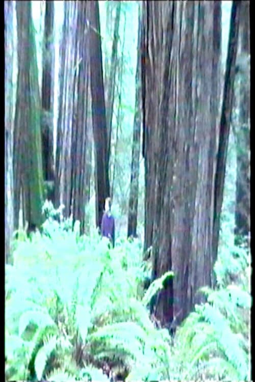 Poster for Dreamer