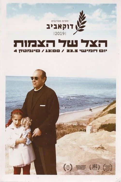 Poster for The Silhouette of Braids