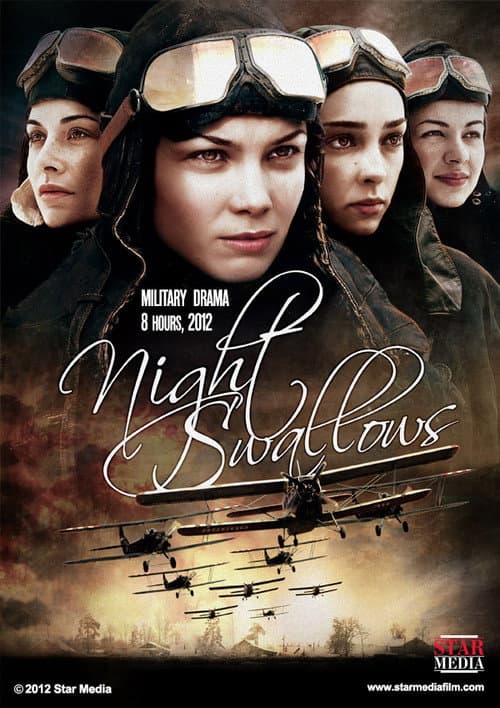 Poster for Night Swallows