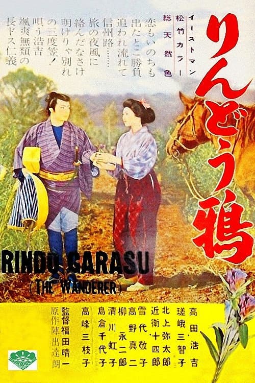 Poster for The Wanderer