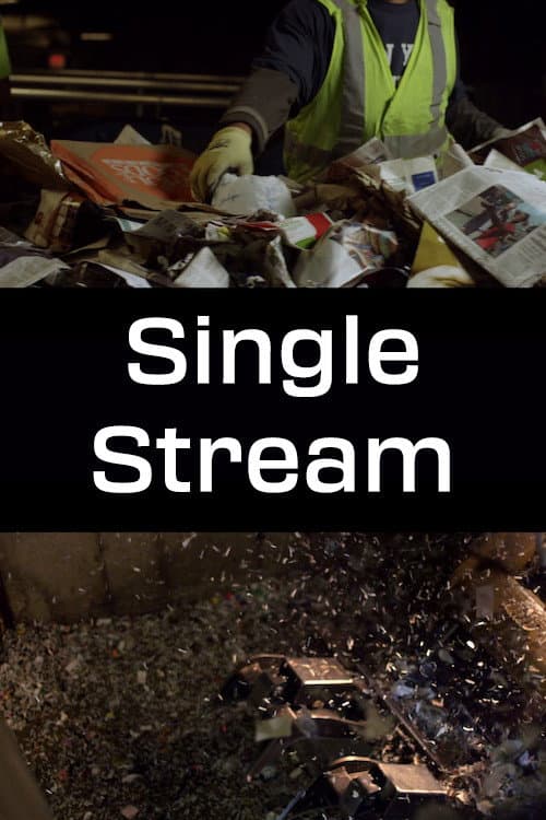 Poster for Single Stream
