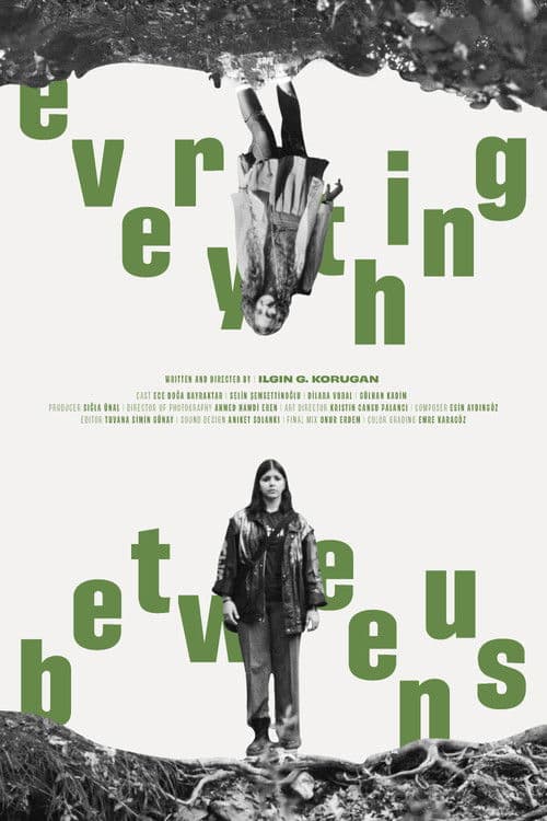 Poster for Everything Between Us