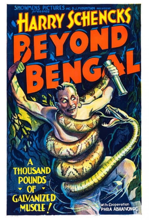 Poster for Beyond Bengal
