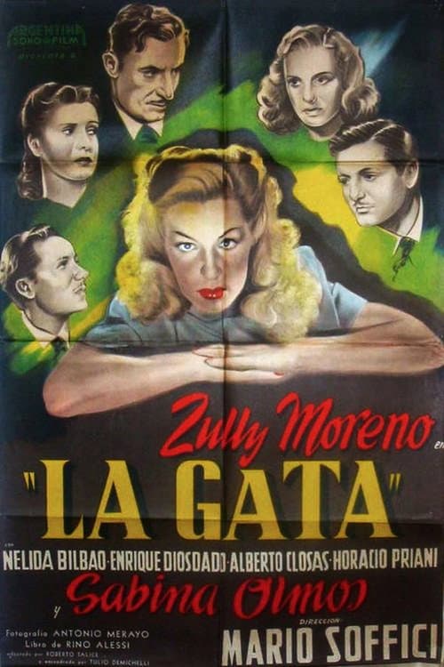 Poster for The Cat
