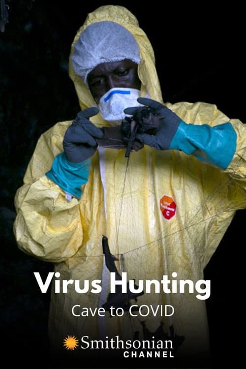 Poster for Virus Hunting: Cave to COVID