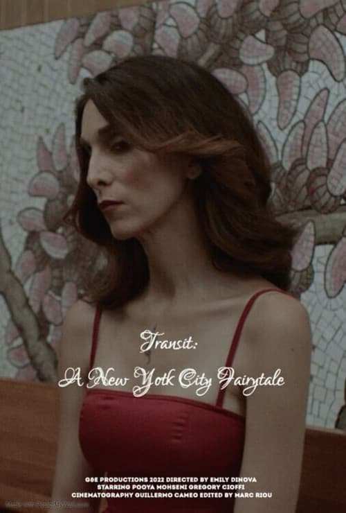 Poster for Transit: A New York City Fairytale