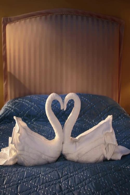 Poster for Swan Song