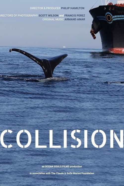 Poster for Collision