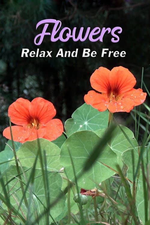 Poster for Flowers: Relax and Be Free