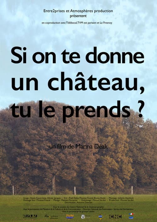 Poster for Si on te donne un château, tu le prends?