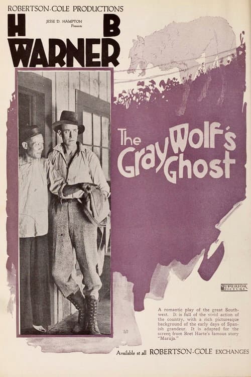 Poster for The Gray Wolf's Ghost