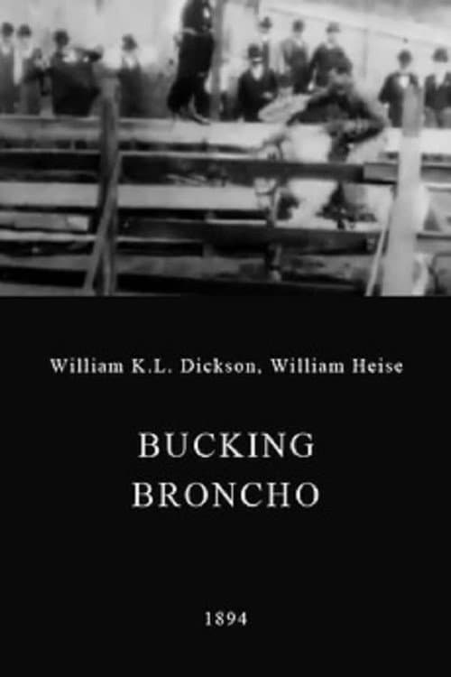 Poster for A Bucking Broncho