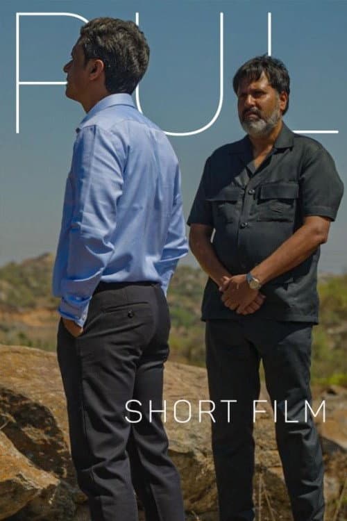 Poster for The Bridge