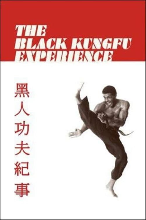 Poster for The Black Kung Fu Experience