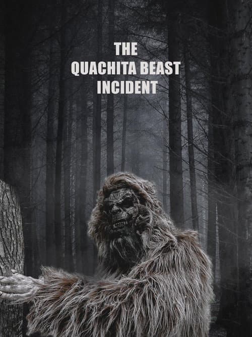 Poster for The Quachita Beast Incident