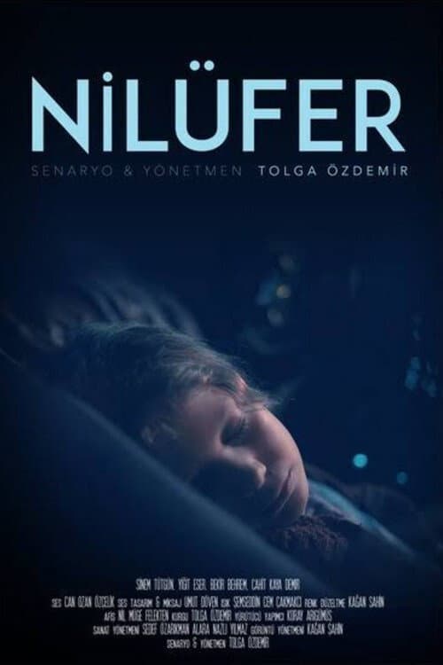 Poster for Nilüfer