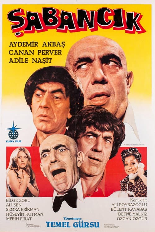Poster for Şabancık
