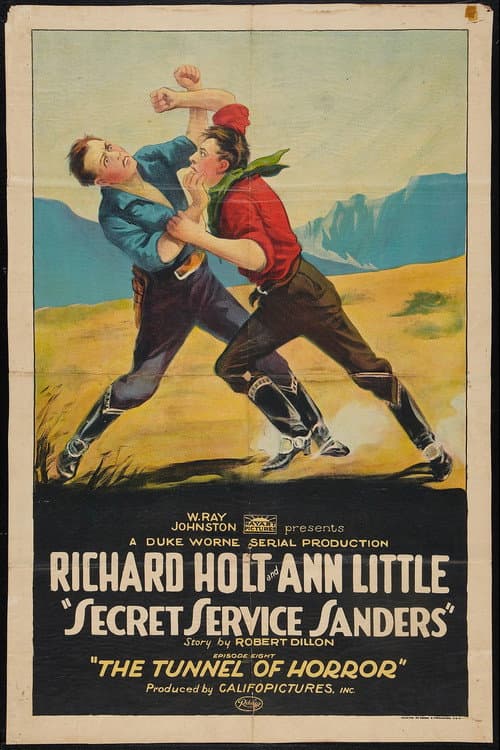 Poster for Secret Service Sanders