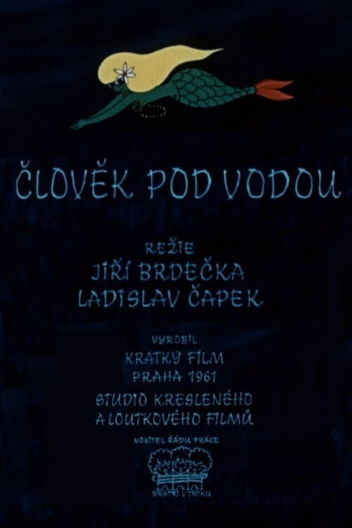 Poster for Man Under Water