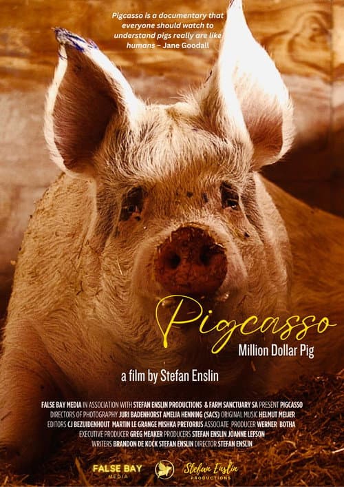 Poster for Pigcasso: Million Dollar Pig