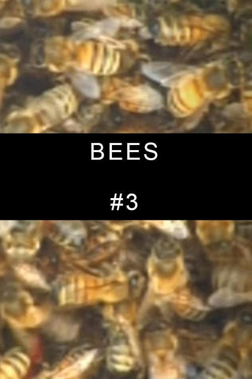 Poster for Bees #3