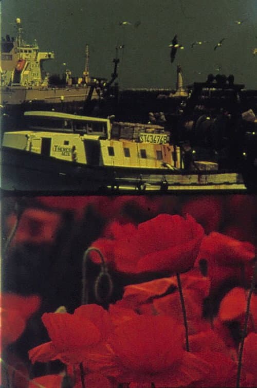 Poster for Poppies and Sailboats