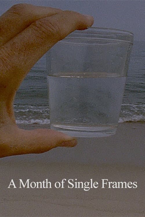 Poster for A Month of Single Frames