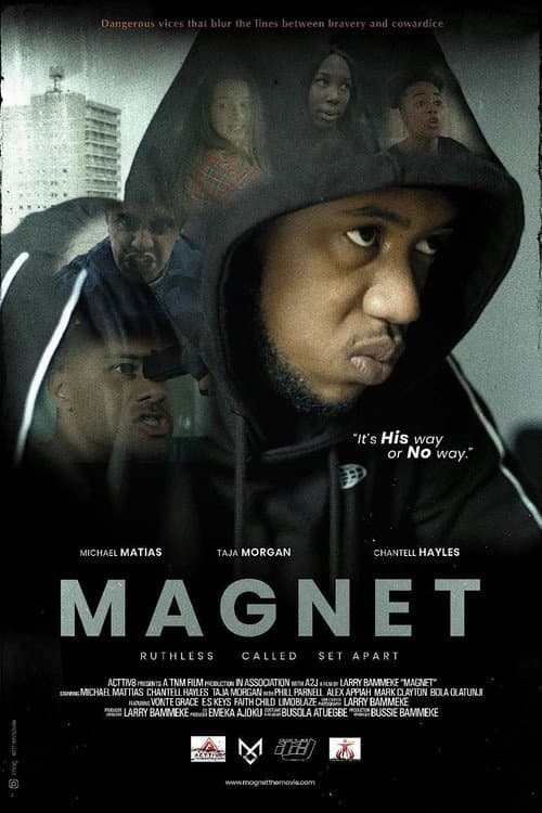 Poster for Magnet