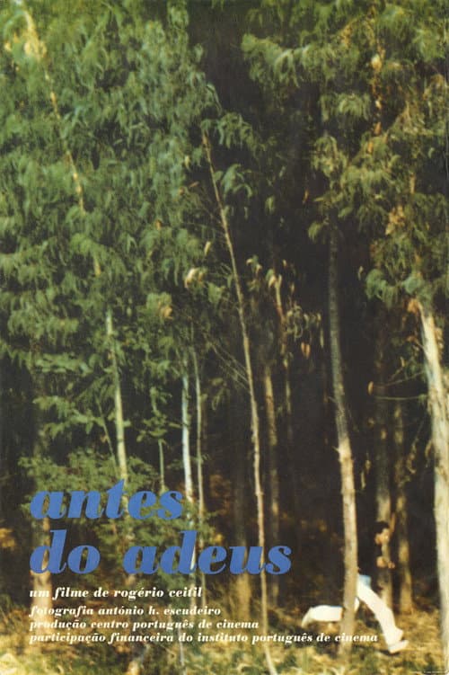 Poster for Antes do Adeus