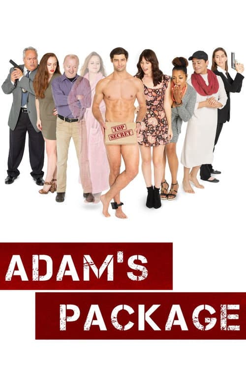 Poster for Adam's Package