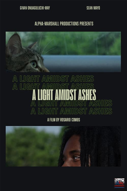 Poster for A Light Amidst Ashes