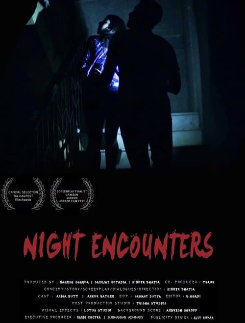 Poster for Night Encounters