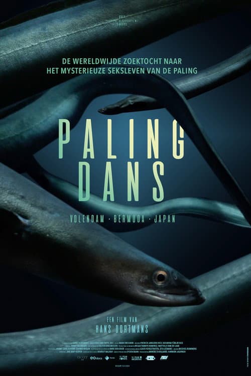 Poster for Hidden Dance of Eels
