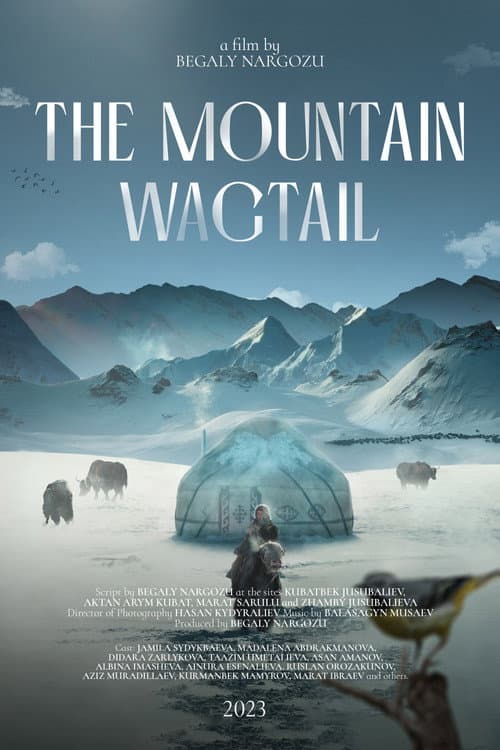 Poster for The Mountain Wagtail