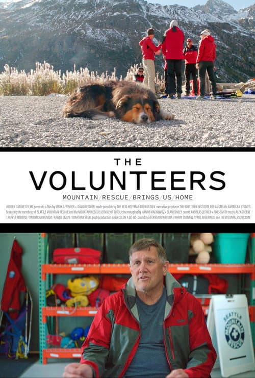 Poster for The Volunteers