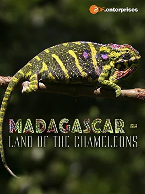 Poster for Madagascar: Land of the Chameleons