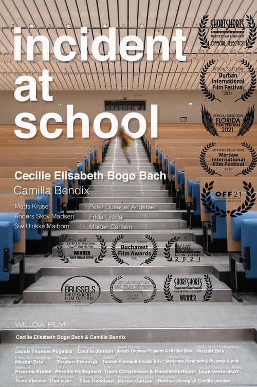 Poster for Incident at School