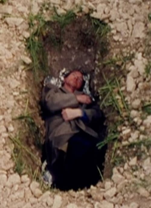 Poster for Digging Holes