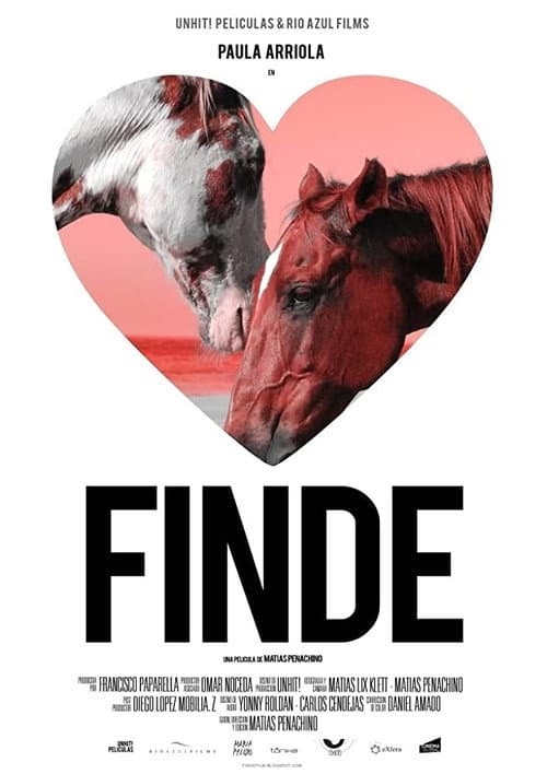 Poster for Finde