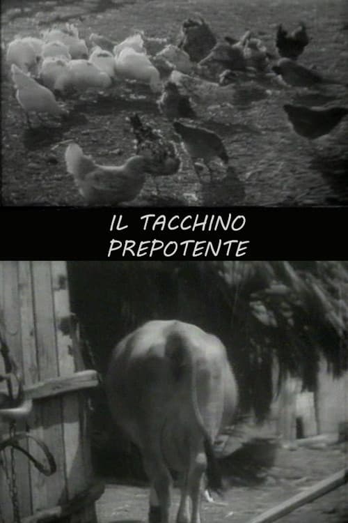 Poster for Il tacchino prepotente