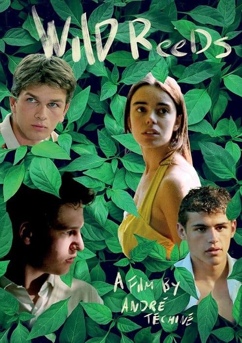 Poster for Wild Reeds