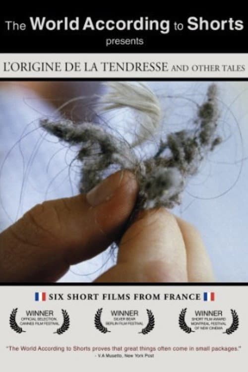 Poster for L'origine de la tendresse