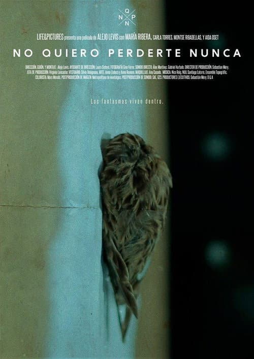 Poster for No quiero perderte nunca