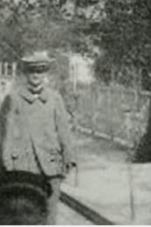 Poster for Panorama of the Moving Boardwalk