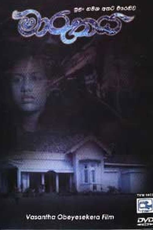 Poster for The Storm